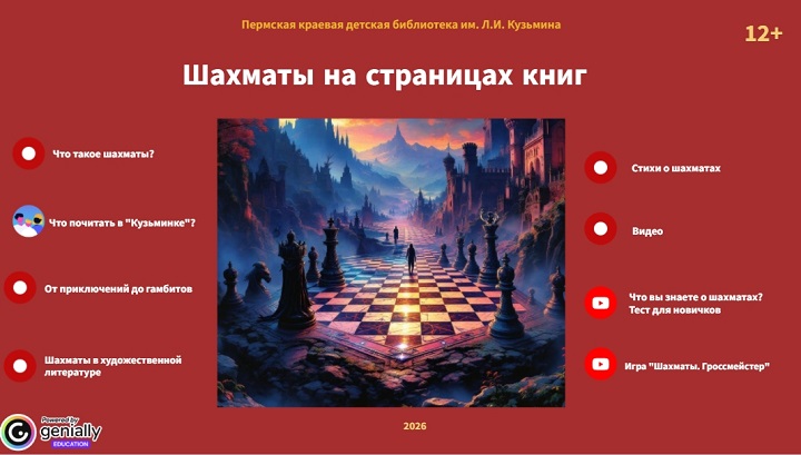2026 07 20 Баннер Шахматы 35819